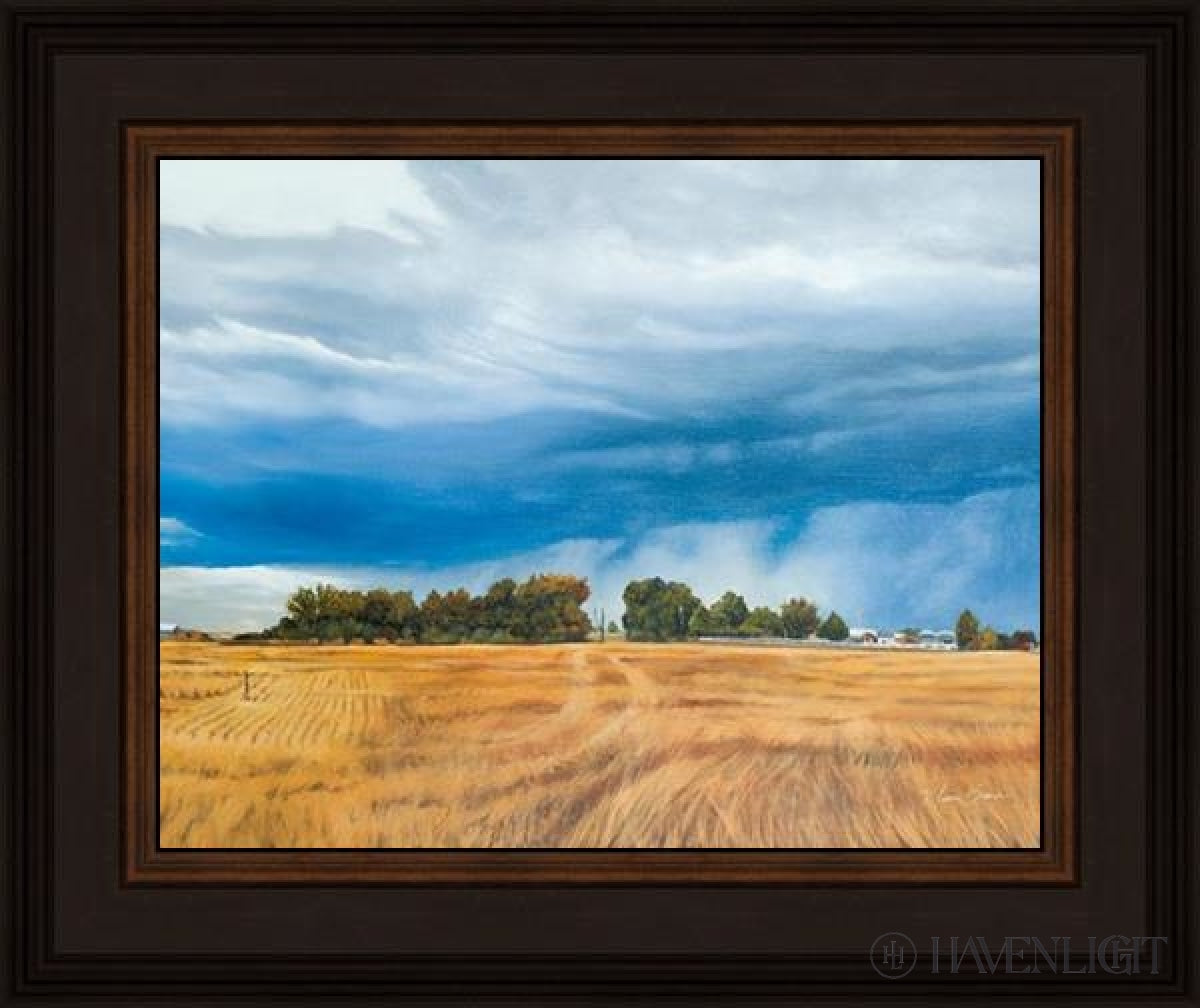 Stormy Skies Open Edition Print / 14 X 11 Frame N 15 3/4 18 Art