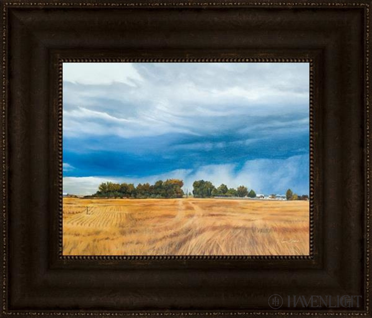 Stormy Skies Open Edition Print / 14 X 11 Frame T 17 3/4 20 Art