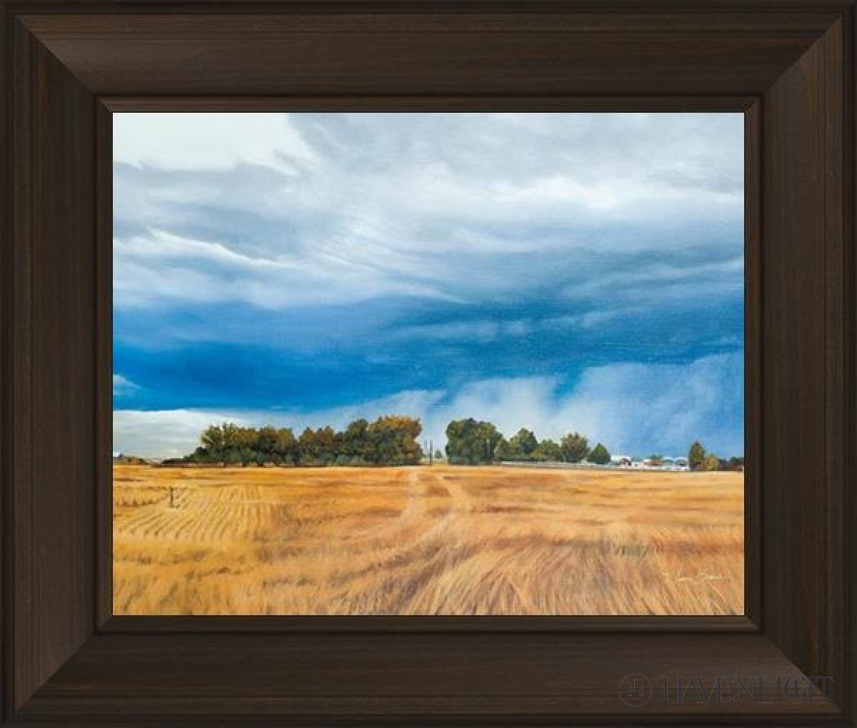 Stormy Skies Open Edition Print / 20 X 16 Frame B 22 3/4 26 Art