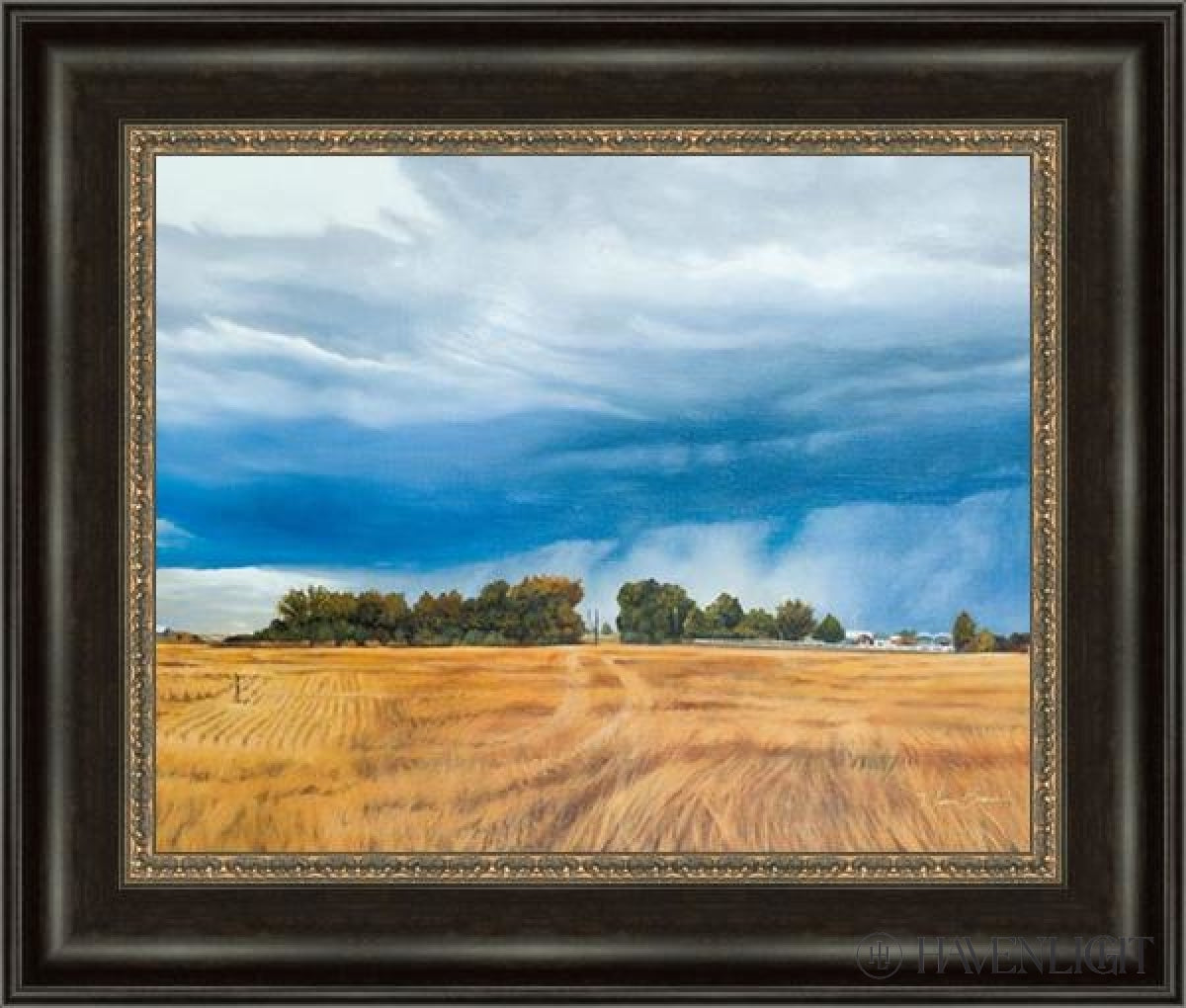 Stormy Skies Open Edition Print / 20 X 16 Frame W 22 3/4 26 Art