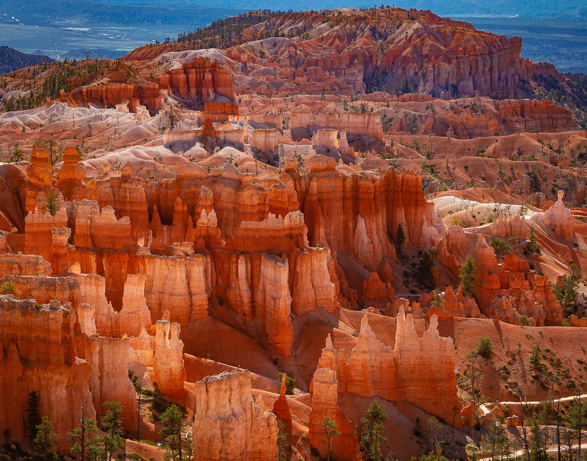 The Hoodoos Of Bryce Canyon National Park Utah Open Edition Print / 14 X 11 Only Art