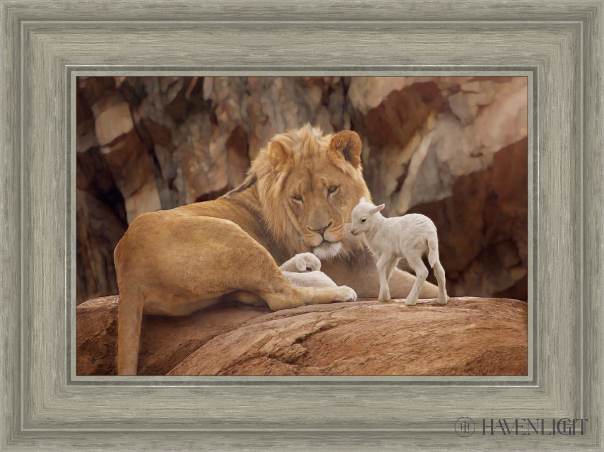 The Lion And Lamb Open Edition Canvas / 18 X 12 Gray 23 3/4 17 Art
