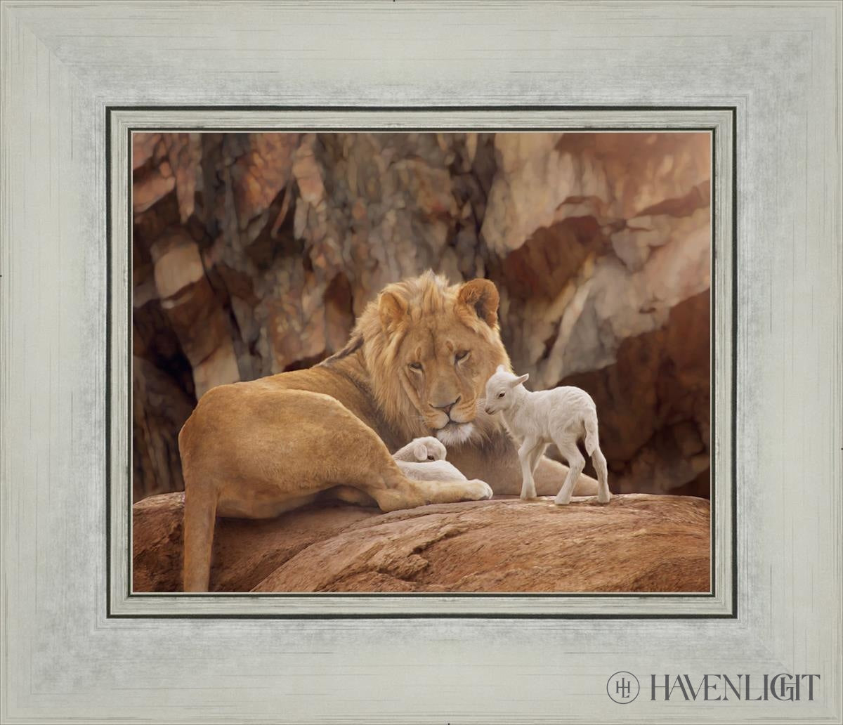 The Lion And Lamb Open Edition Print / 10 X 8 Silver 14 1/4 12 Art