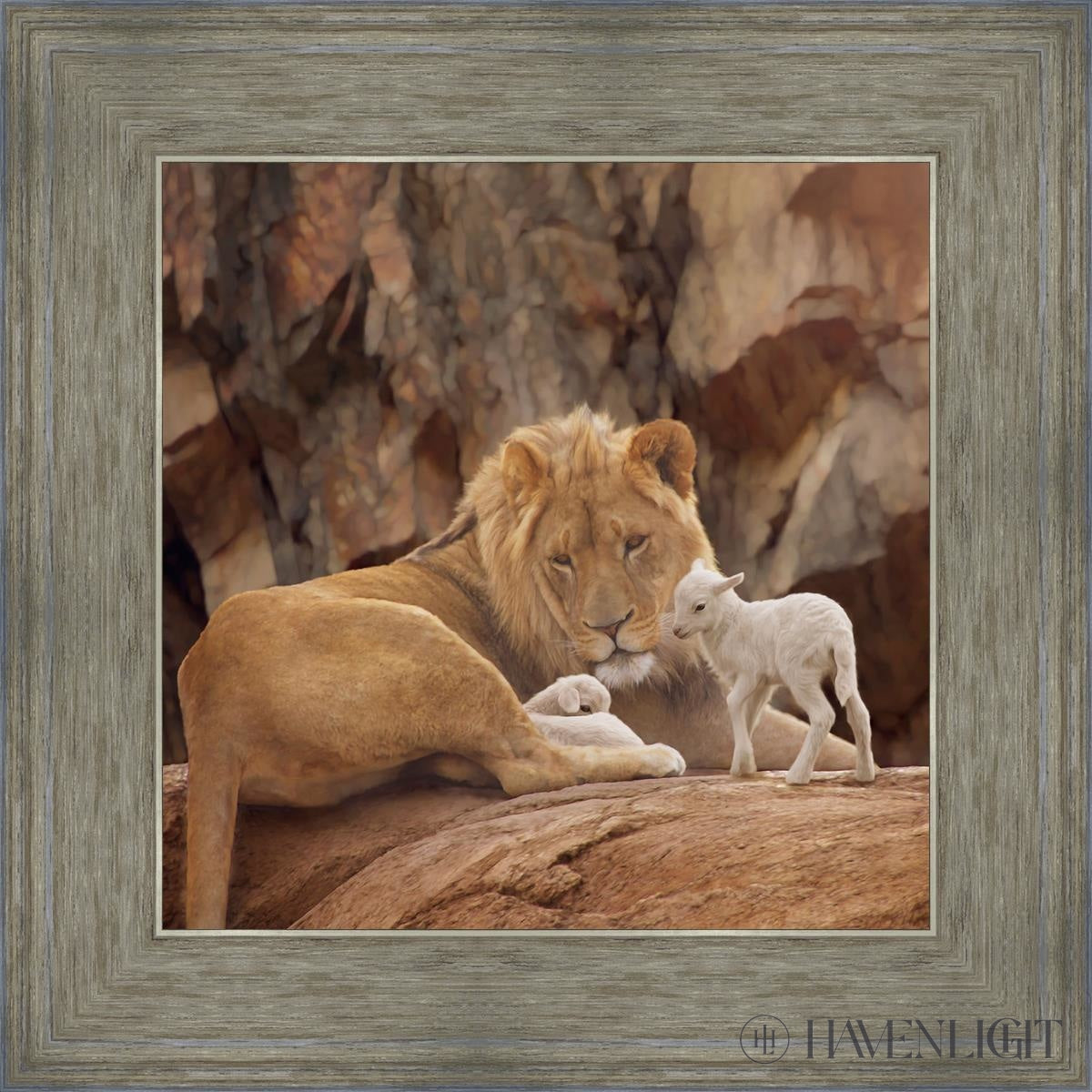 The Lion And Lamb Open Edition Print / 12 X Gray 16 3/4 Art
