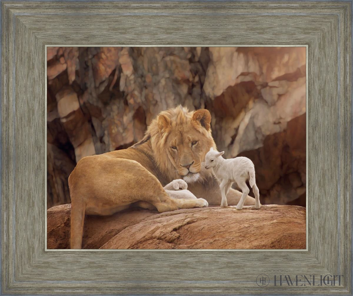 The Lion And Lamb Open Edition Print / 14 X 11 Gray 18 3/4 15 Art