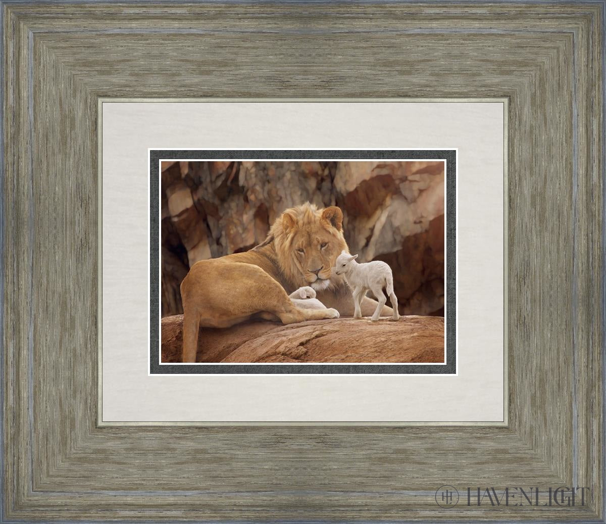 The Lion And Lamb Open Edition Print / 7 X 5 Gray 14 3/4 12 Art