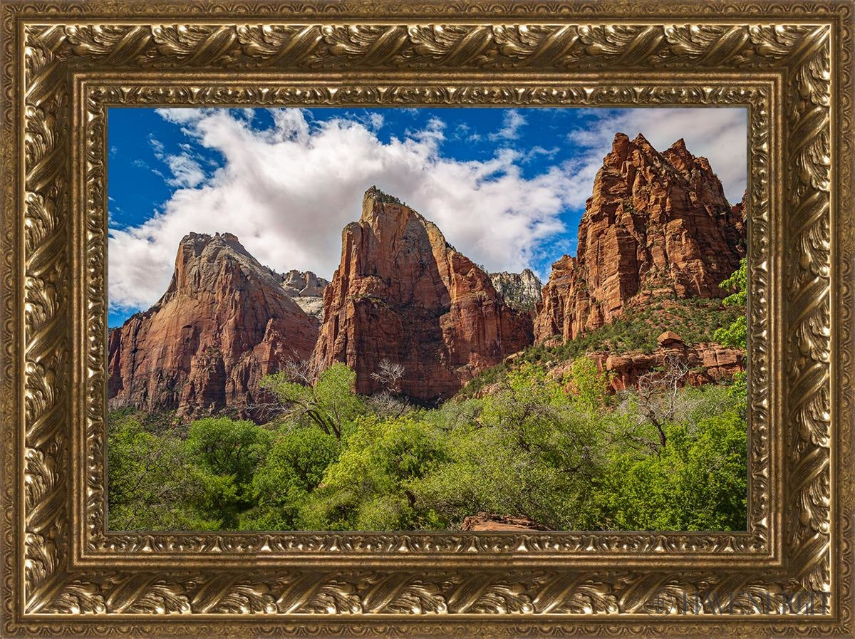 The Three Patriarchs Zion National Park Open Edition Canvas / 18 X 12 Gold 23 3/4 17 Art