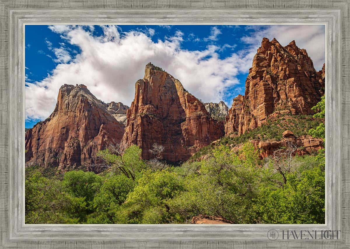 The Three Patriarchs Zion National Park Open Edition Canvas / 30 X 20 Silver 34 3/4 24 Art