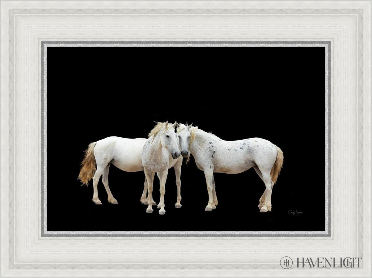 Three White Horses Open Edition Canvas / 18 X 12 23 3/4 17 Art