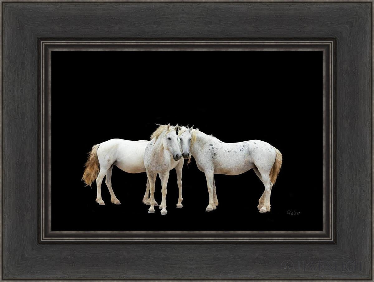 Three White Horses Open Edition Canvas / 18 X 12 Black 24 1/2 Art