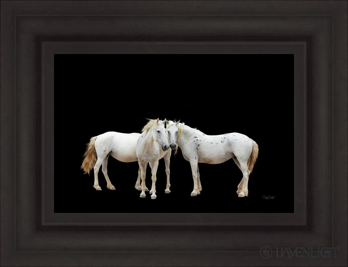 Three White Horses Open Edition Canvas / 18 X 12 Brown 25 3/4 19 Art