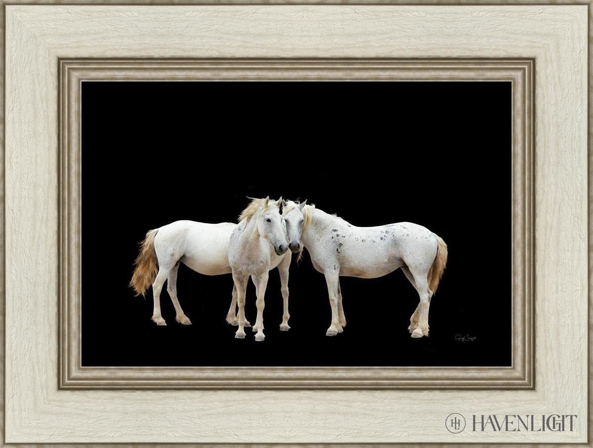 Three White Horses Open Edition Canvas / 18 X 12 Ivory 24 1/2 Art