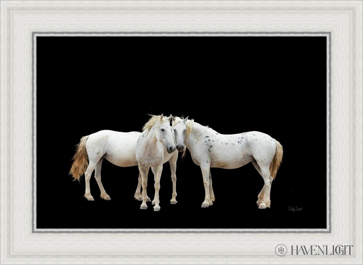 Three White Horses Open Edition Canvas / 24 X 16 29 3/4 21 Art