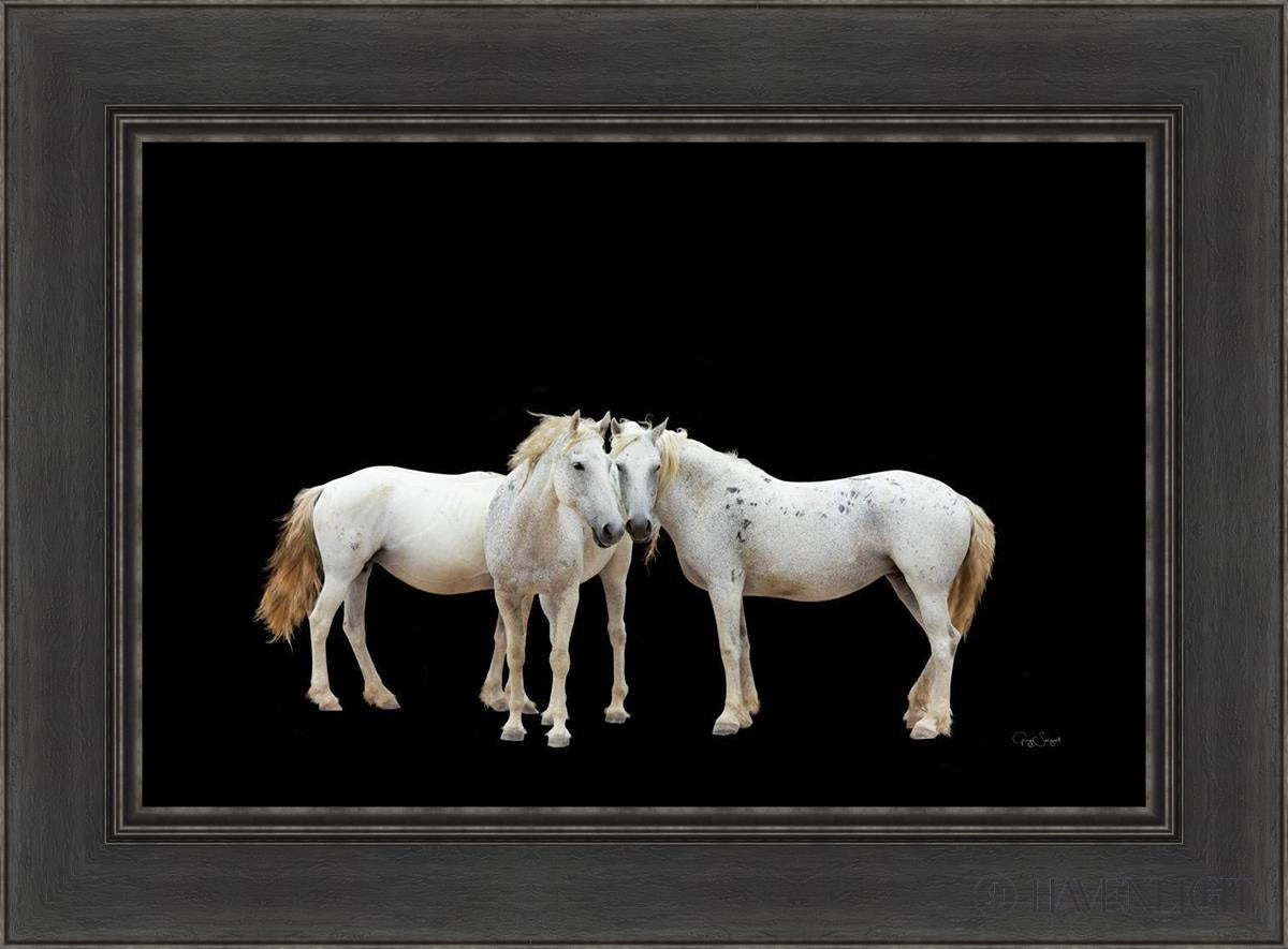 Three White Horses Open Edition Canvas / 24 X 16 Black 30 1/2 22 Art