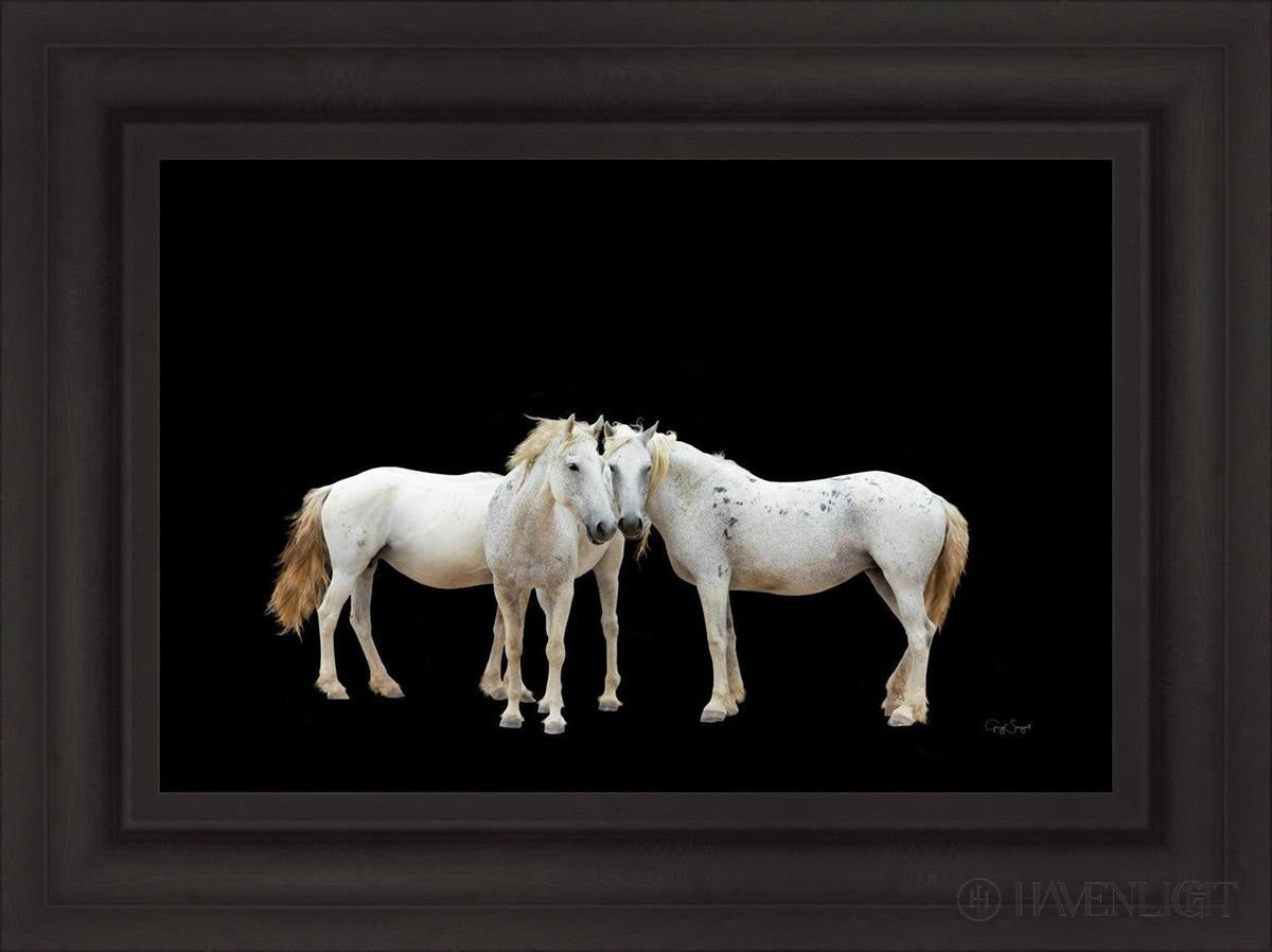 Three White Horses Open Edition Canvas / 24 X 16 Brown 31 3/4 23 Art
