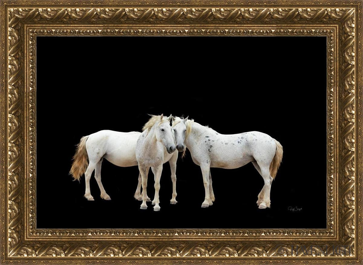 Three White Horses Open Edition Canvas / 24 X 16 Gold 29 3/4 21 Art