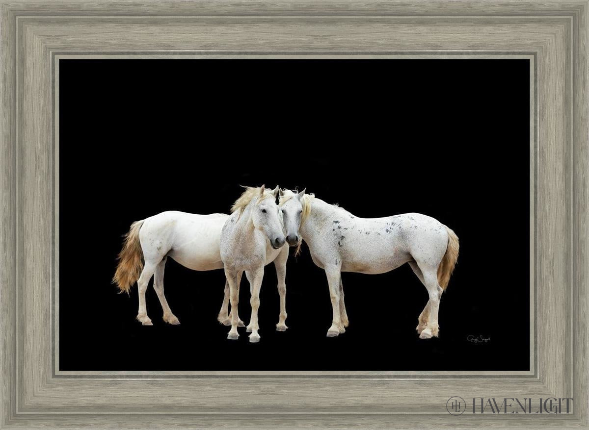 Three White Horses Open Edition Canvas / 24 X 16 Gray 29 3/4 21 Art