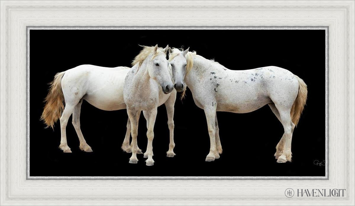 Three White Horses Open Edition Canvas / 30 X 15 35 3/4 20 Art