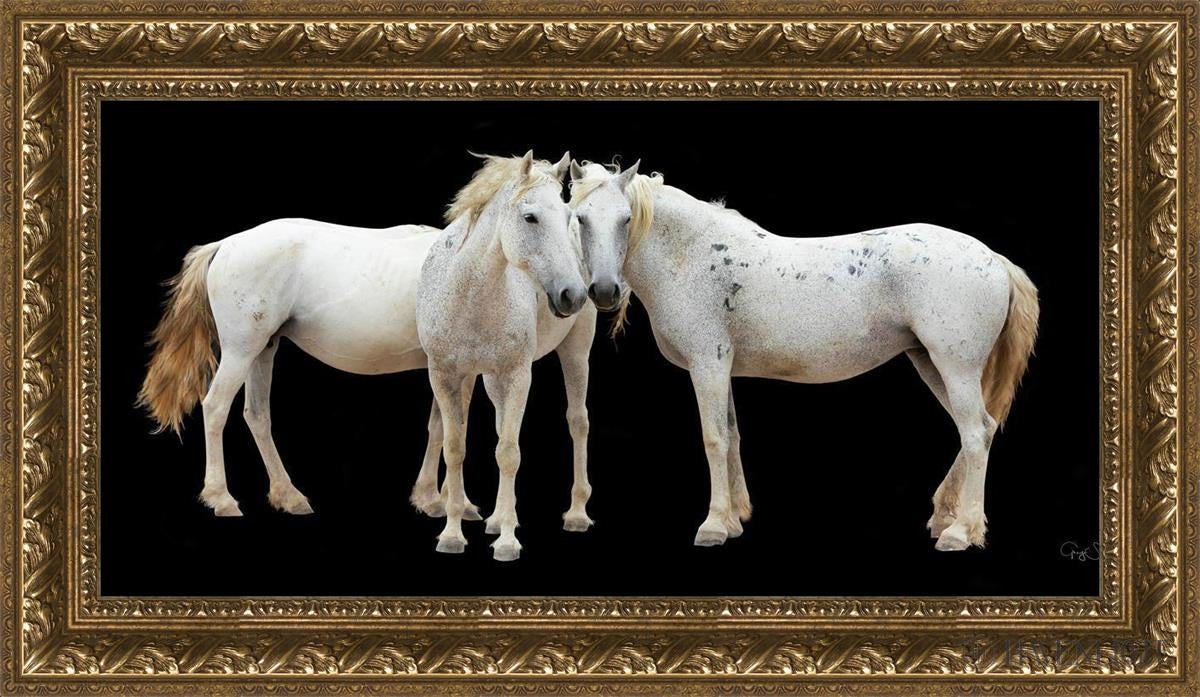 Three White Horses Open Edition Canvas / 30 X 15 Gold 35 3/4 20 Art