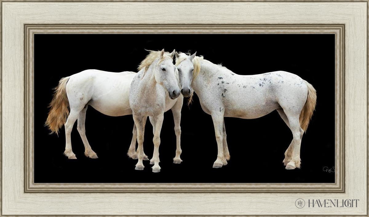 Three White Horses Open Edition Canvas / 30 X 15 Ivory 36 1/2 21 Art