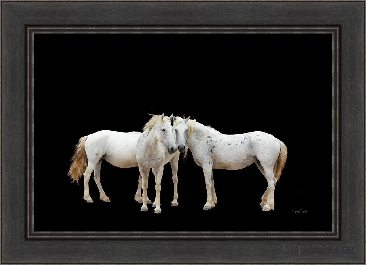 Three White Horses Open Edition Canvas / 30 X 20 Black 36 1/2 26 Art