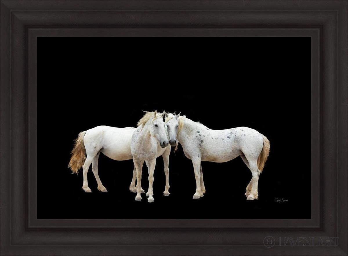 Three White Horses Open Edition Canvas / 30 X 20 Brown 37 3/4 27 Art