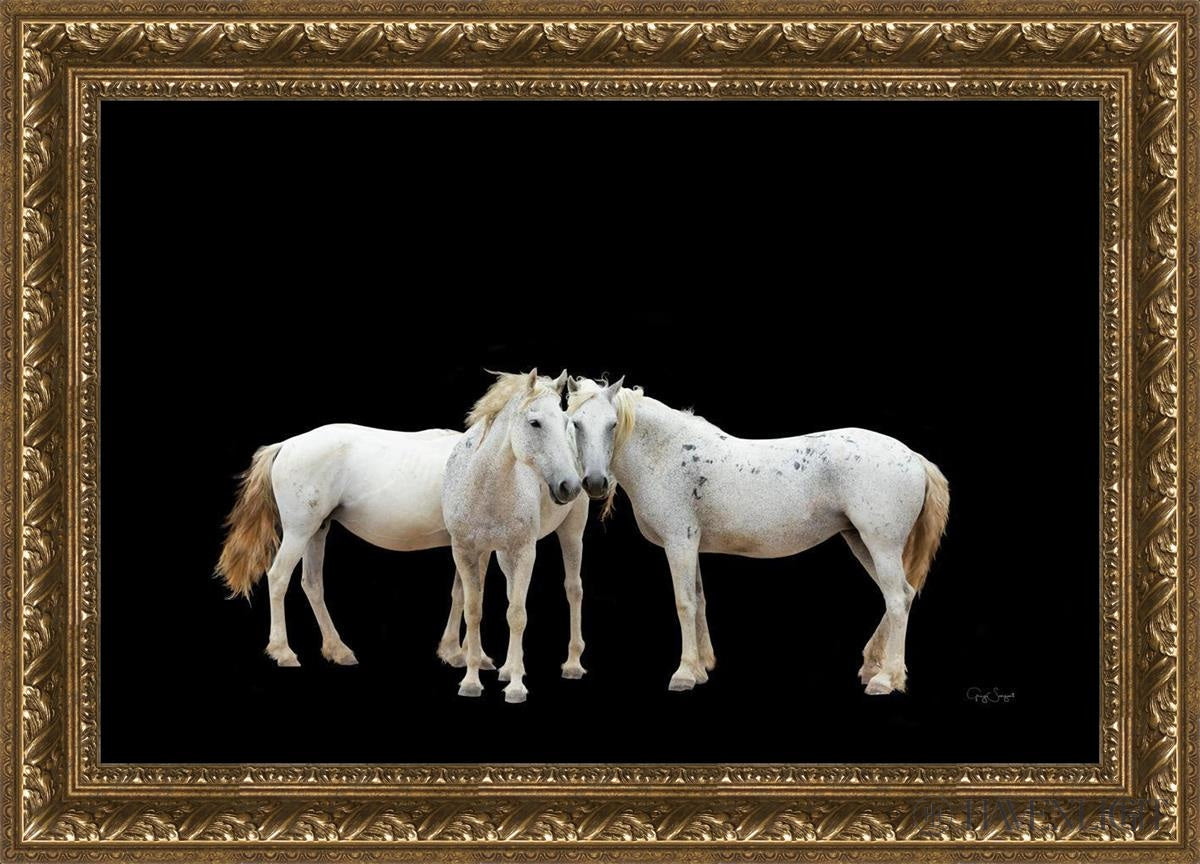 Three White Horses Open Edition Canvas / 30 X 20 Gold 35 3/4 25 Art
