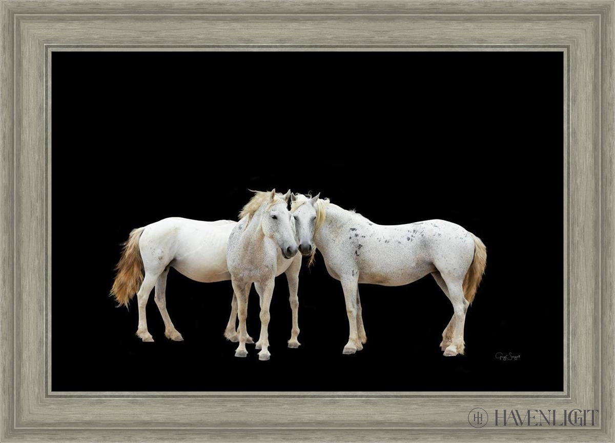 Three White Horses Open Edition Canvas / 30 X 20 Gray 35 3/4 25 Art