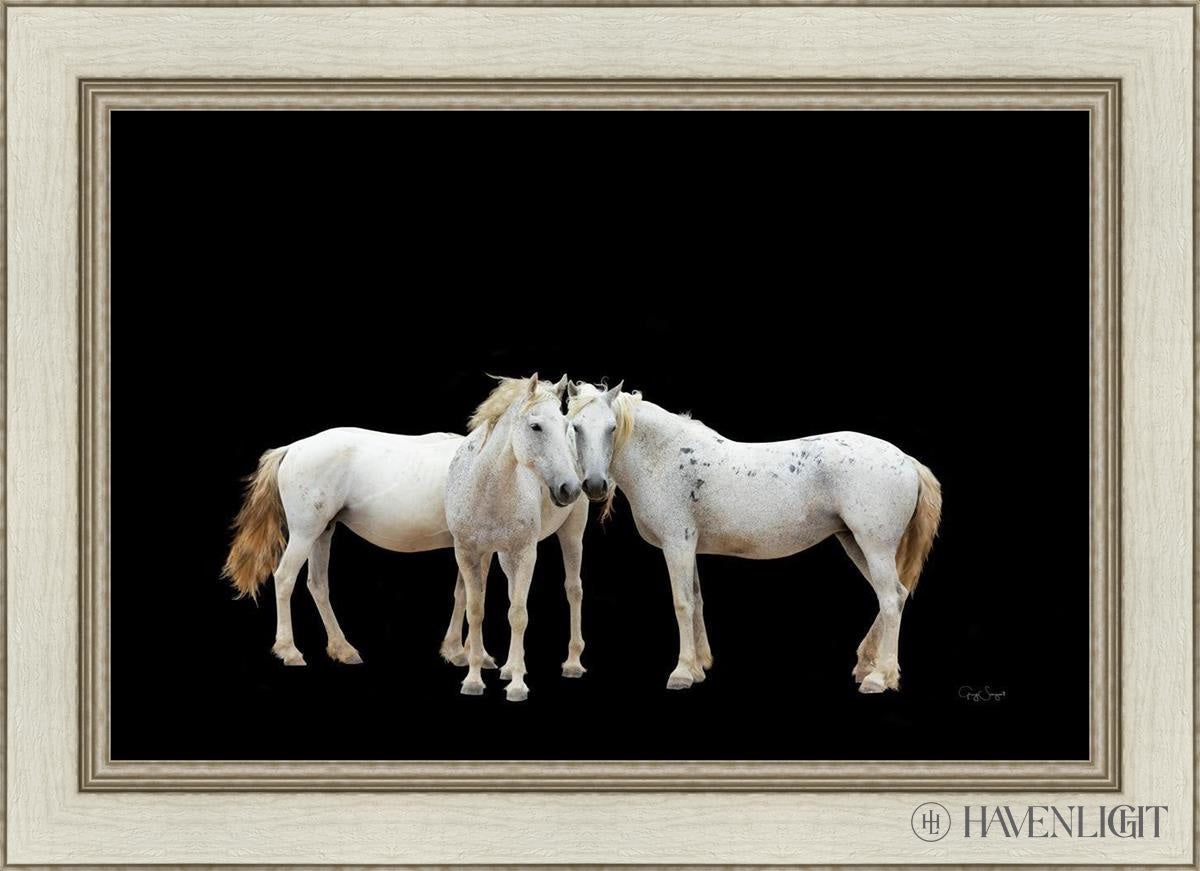 Three White Horses Open Edition Canvas / 30 X 20 Ivory 36 1/2 26 Art