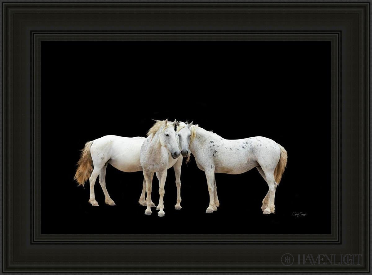 Three White Horses Open Edition Canvas / 36 X 24 Black 45 3/4 33 Art