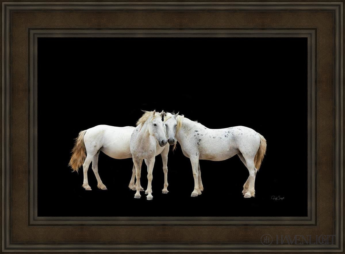Three White Horses Open Edition Canvas / 36 X 24 Brown 45 3/4 33 Art