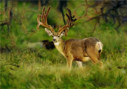 Velvet Open Edition Print / 15 3/4 X 11 Only Art