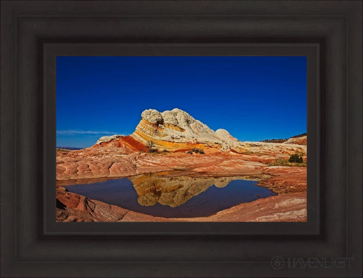 White Pocket Reflection Open Edition Canvas / 18 X 12 Brown 25 3/4 19 Art