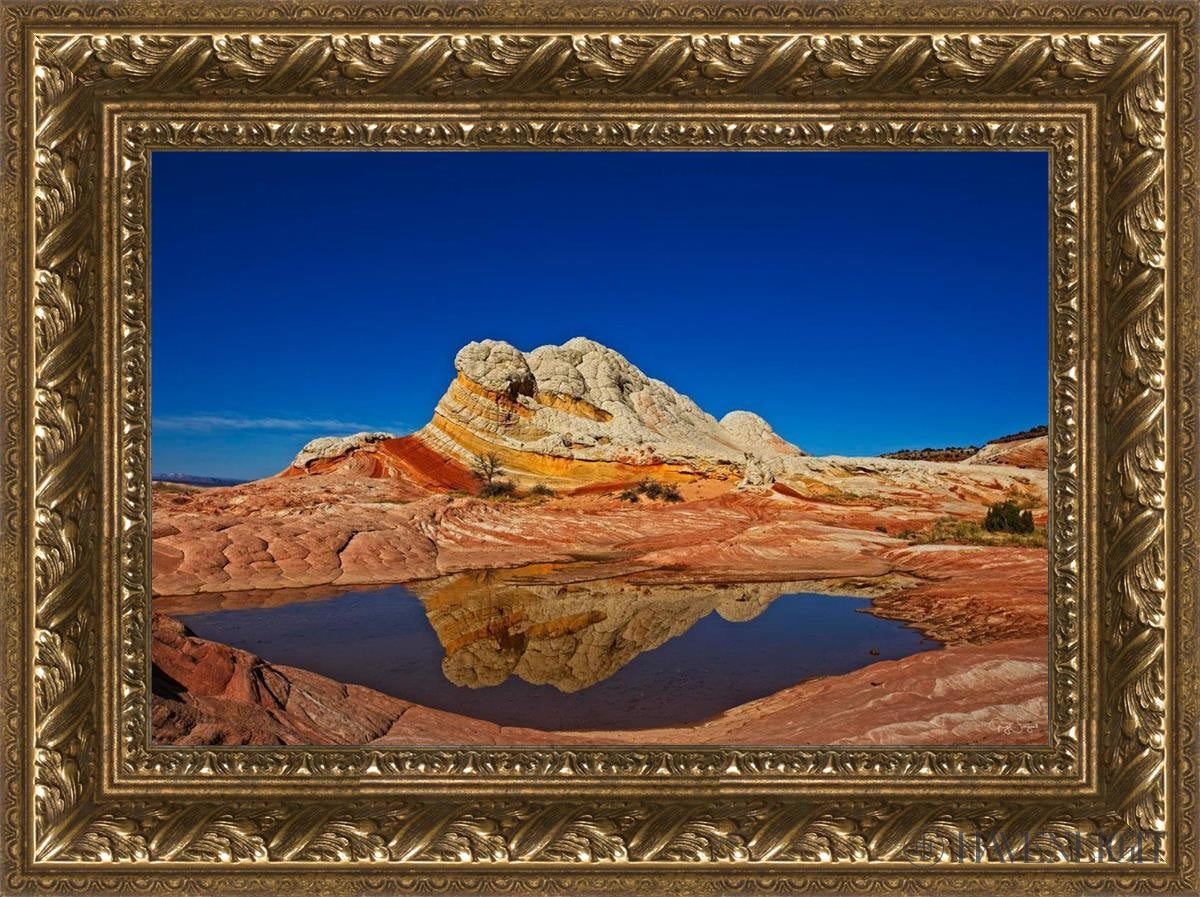 White Pocket Reflection Open Edition Canvas / 18 X 12 Gold 23 3/4 17 Art