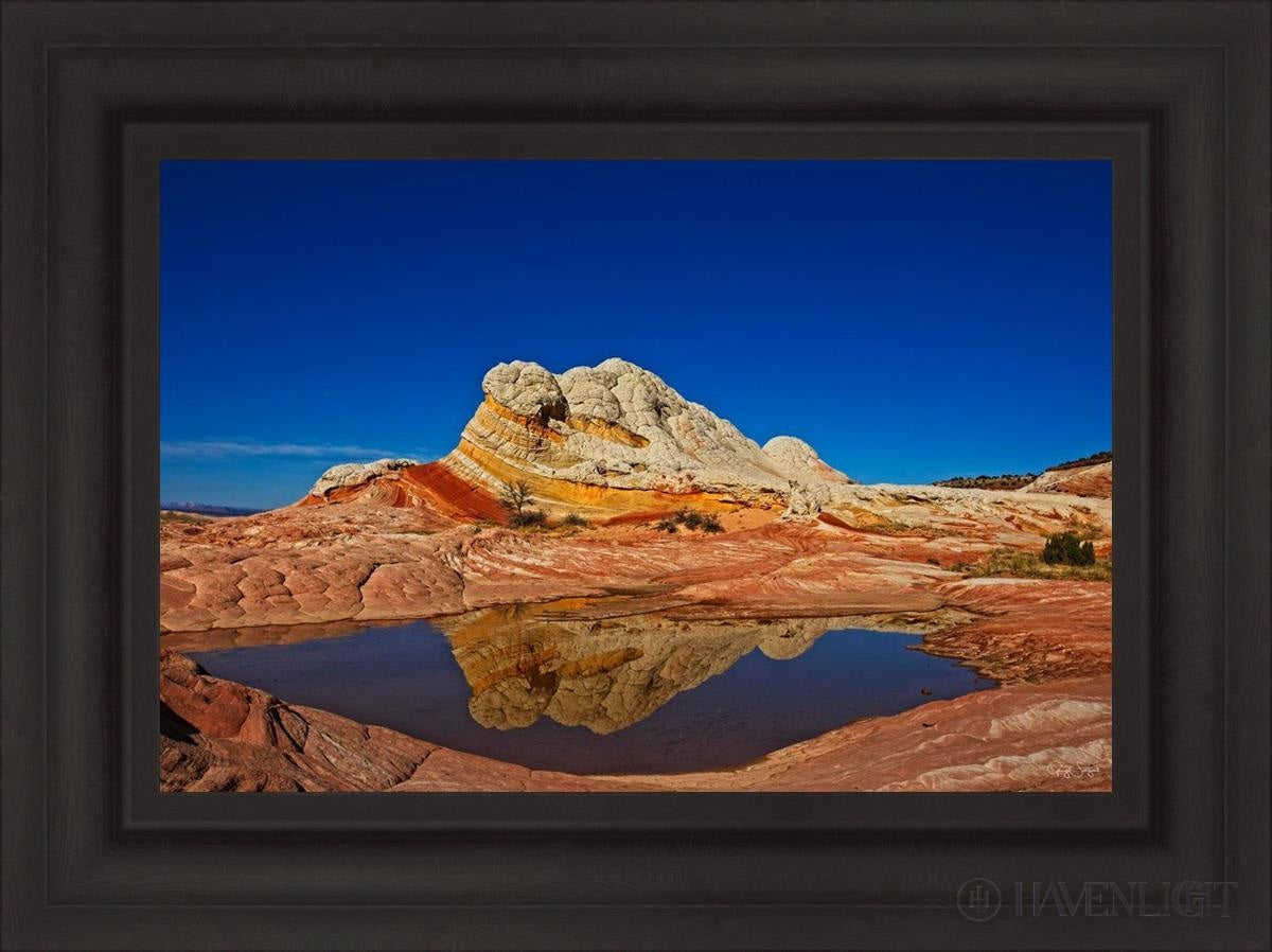 White Pocket Reflection Open Edition Canvas / 24 X 16 Brown 31 3/4 23 Art