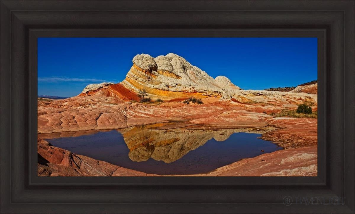 White Pocket Reflection Open Edition Canvas / 30 X 15 Brown 37 3/4 22 Art