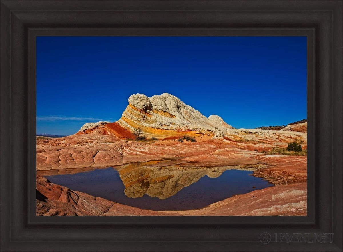 White Pocket Reflection Open Edition Canvas / 30 X 20 Brown 37 3/4 27 Art