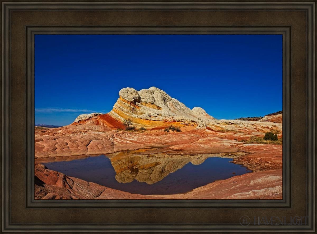 White Pocket Reflection Open Edition Canvas / 36 X 24 Brown 45 3/4 33 Art