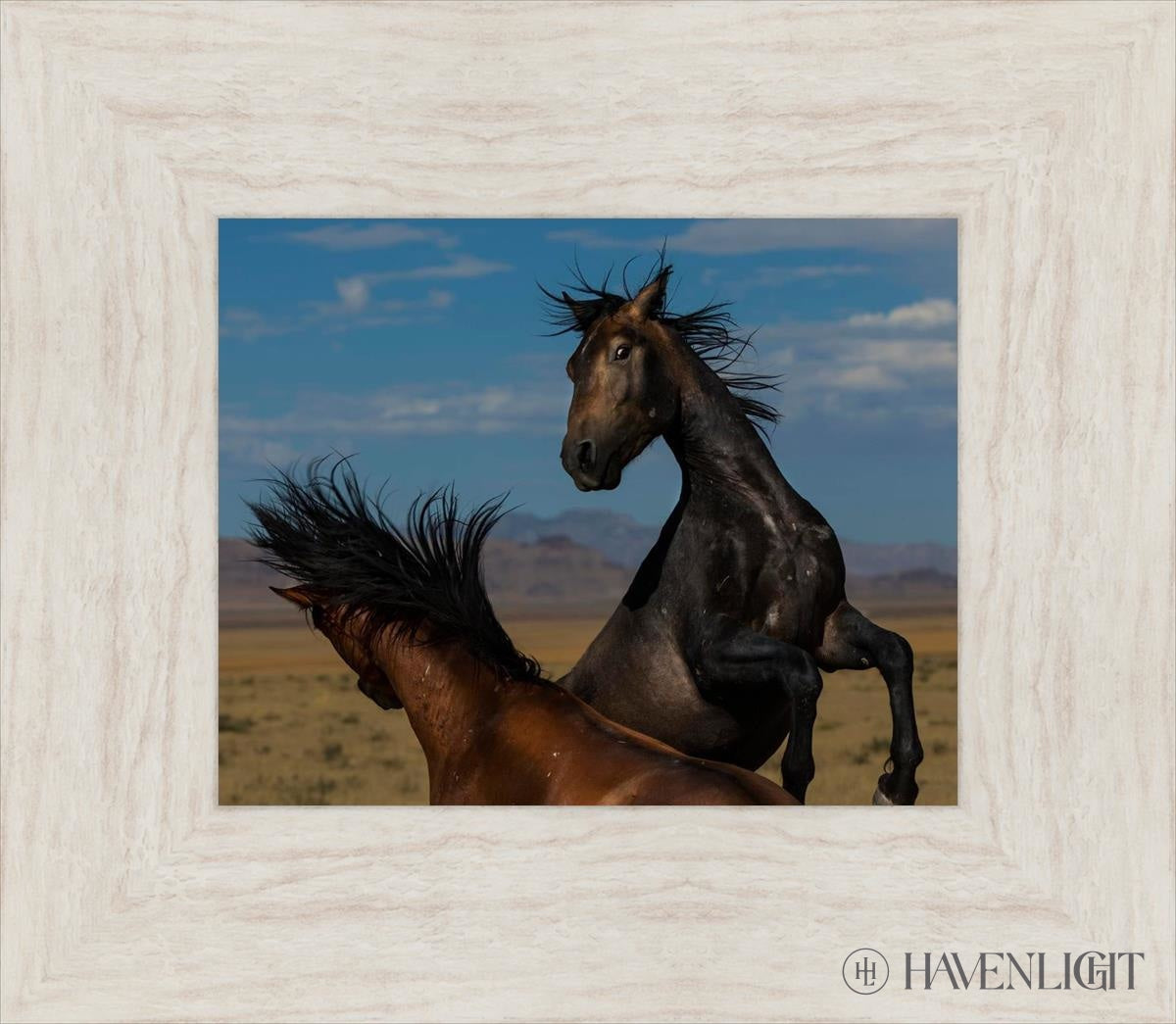 Winner Takes All Open Edition Print / 10 X 8 Ivory 15 1/2 13 Art