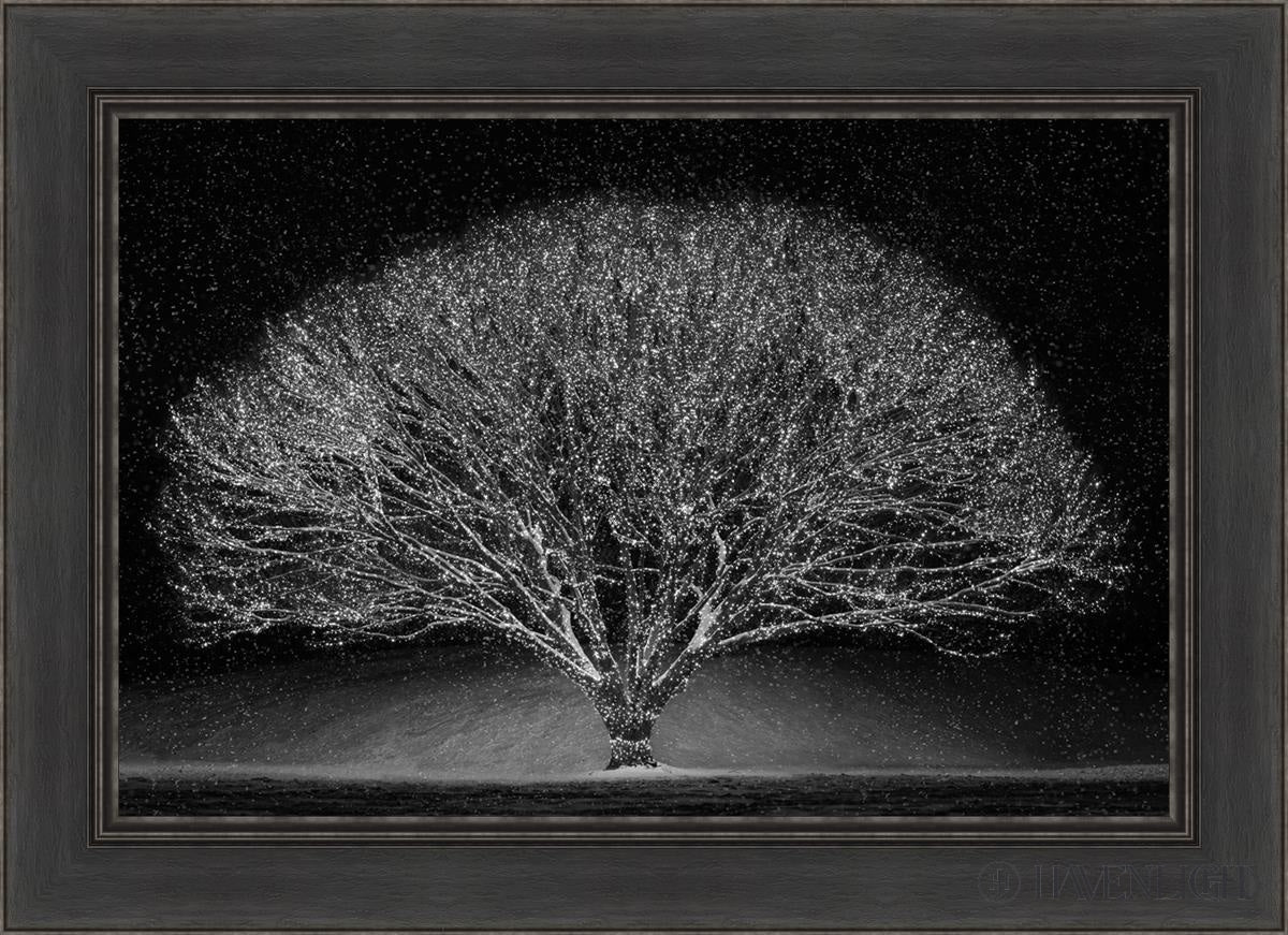 Winter Wonderland Open Edition Canvas / 30 X 20 Black 36 1/2 26 Art