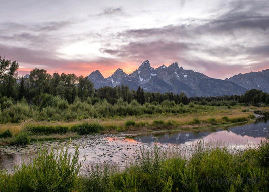 Ye Shall Be Lifted Up Summer Open Edition Print / 7 X 5 Only Art