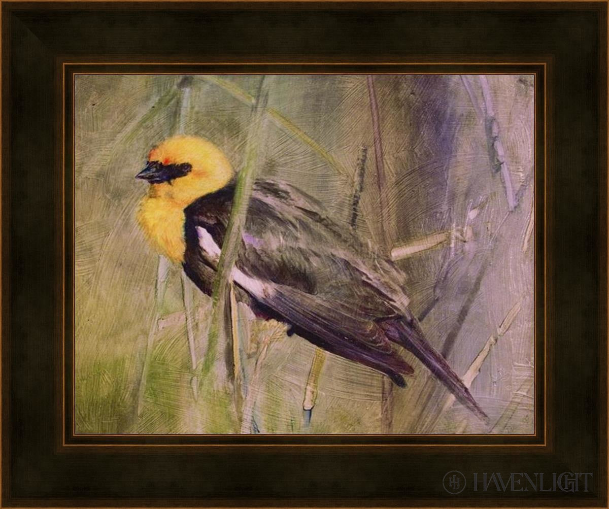 Yellow Headed Black Bird Open Edition Print / 14 X 11 Frame A 18 1/4 15 Art