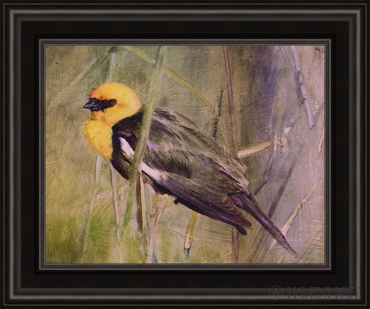 Yellow Headed Black Bird by Kelly Pugh – Havenlight.com