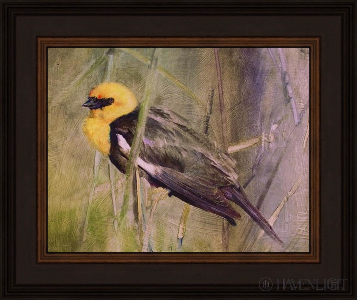 Yellow Headed Black Bird Open Edition Print / 14 X 11 Frame N 18 3/4 15 Art