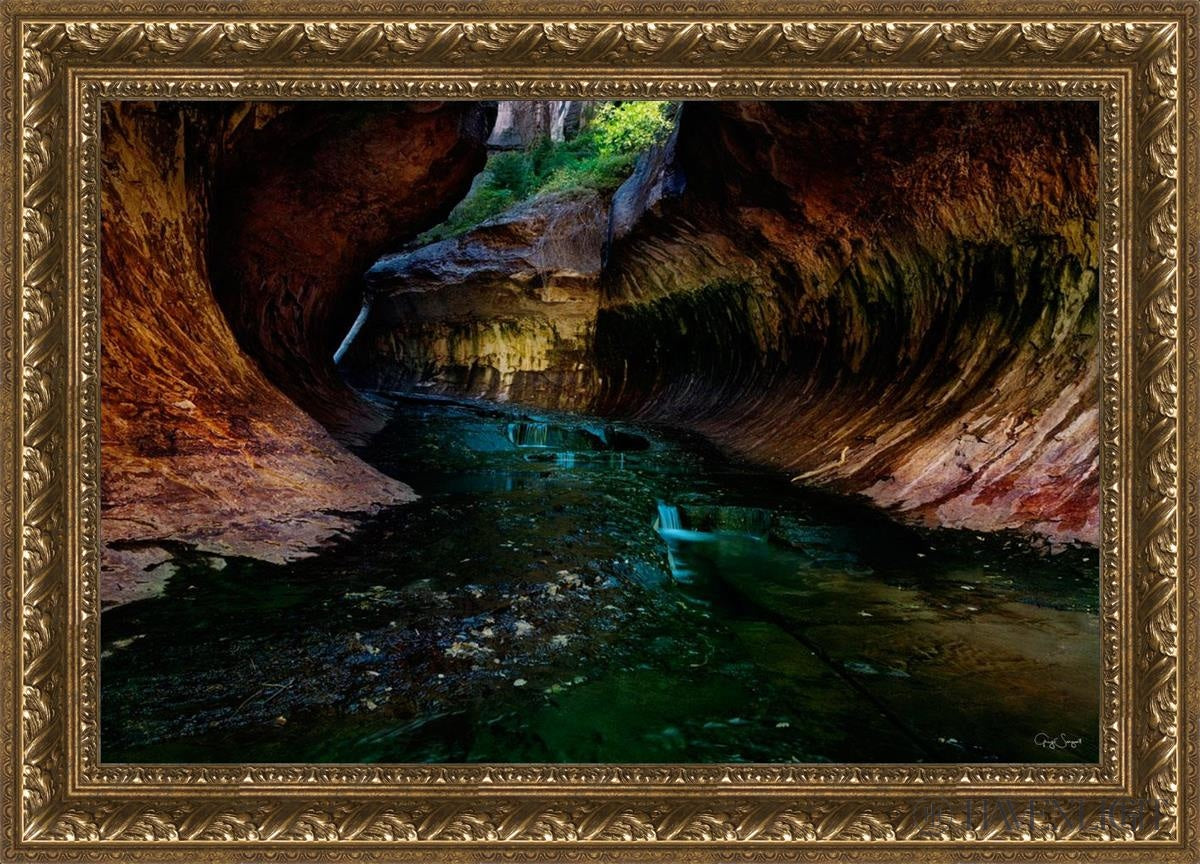 Zions Abyss Open Edition Canvas / 30 X 20 Gold 35 3/4 25 Art