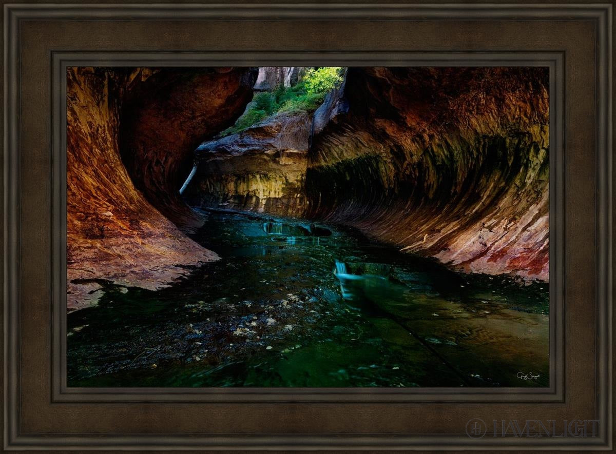 Zions Abyss Open Edition Canvas / 36 X 24 Brown 45 3/4 33 Art