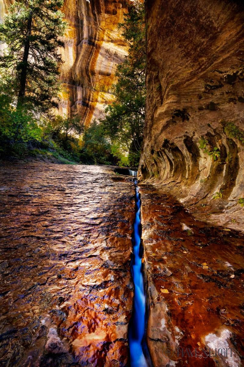 Zions Fissure Open Edition Canvas / 12 X 18 Rolled In Tube Art